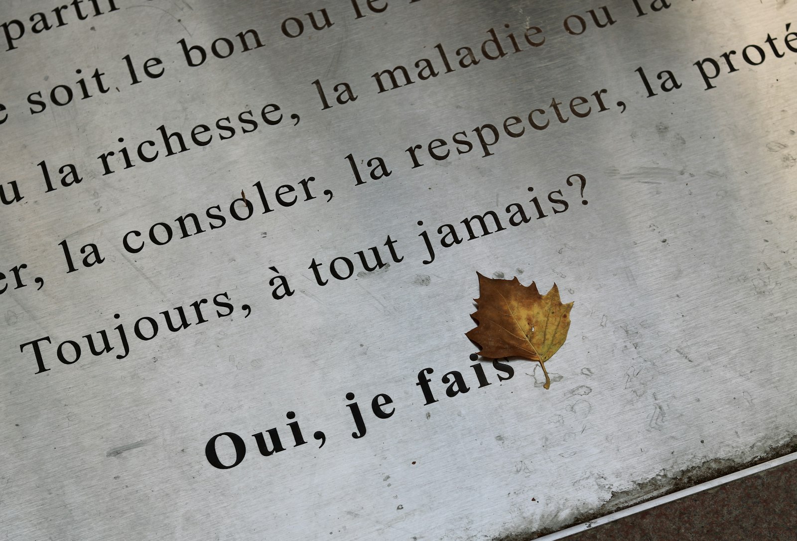 Vaccination contre la grippe et le Covid-19 : êtes-vous prêt pour cette campagne cruciale ?